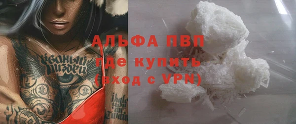 шишки Медвежьегорск