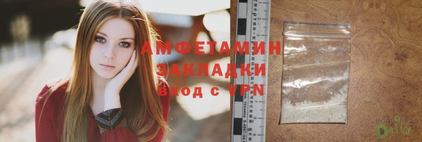 шишки Медвежьегорск