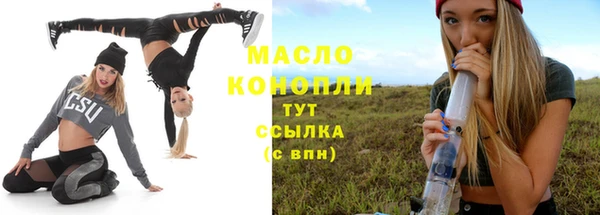 шишки Медвежьегорск