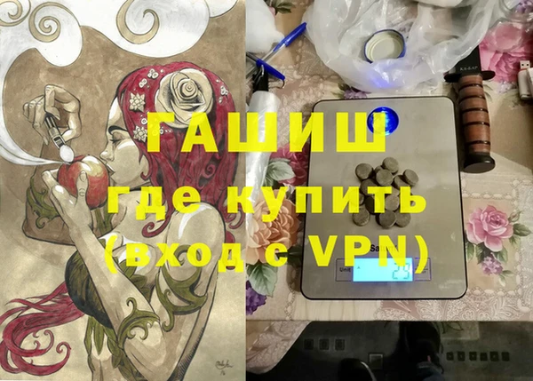 шишки Медвежьегорск