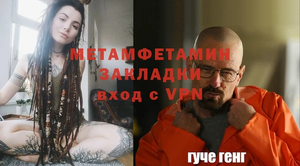шишки Медвежьегорск