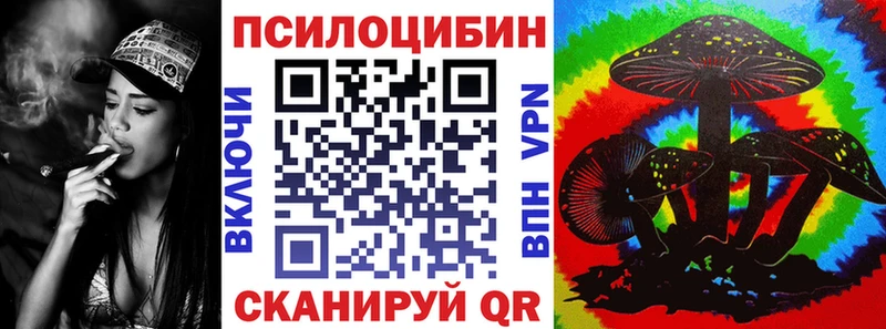 купить наркоту  Серпухов  Псилоцибиновые грибы Psilocybine cubensis 