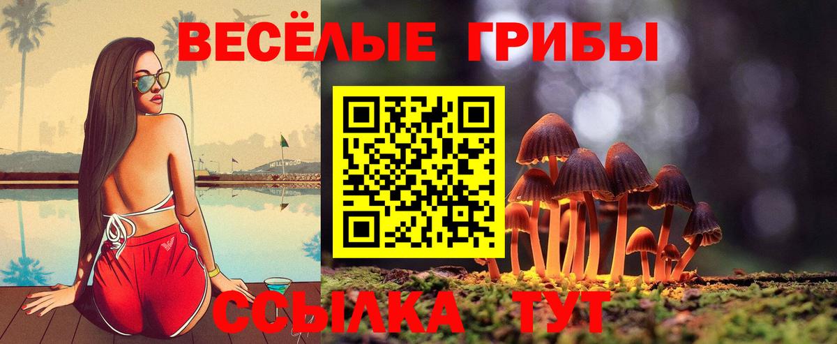 Псилоцибиновые грибы ЛСД Серпухов